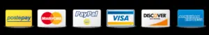 Logo carte di credito paypal Pantarei Chauffeur service, noleggio con conducente a Mira in provincia di Venezia, Italia