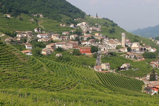 Valdobbiadene prosecco docg région viticole